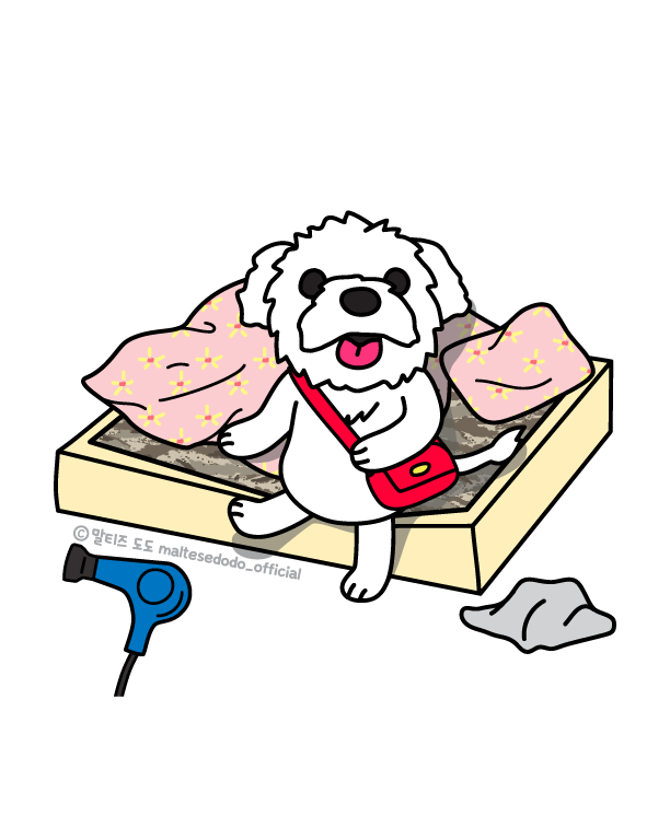 KakaoTalk_20250628_165517795